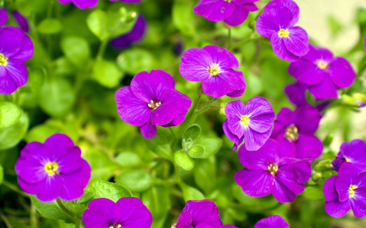 482788 (a): :1920x1200